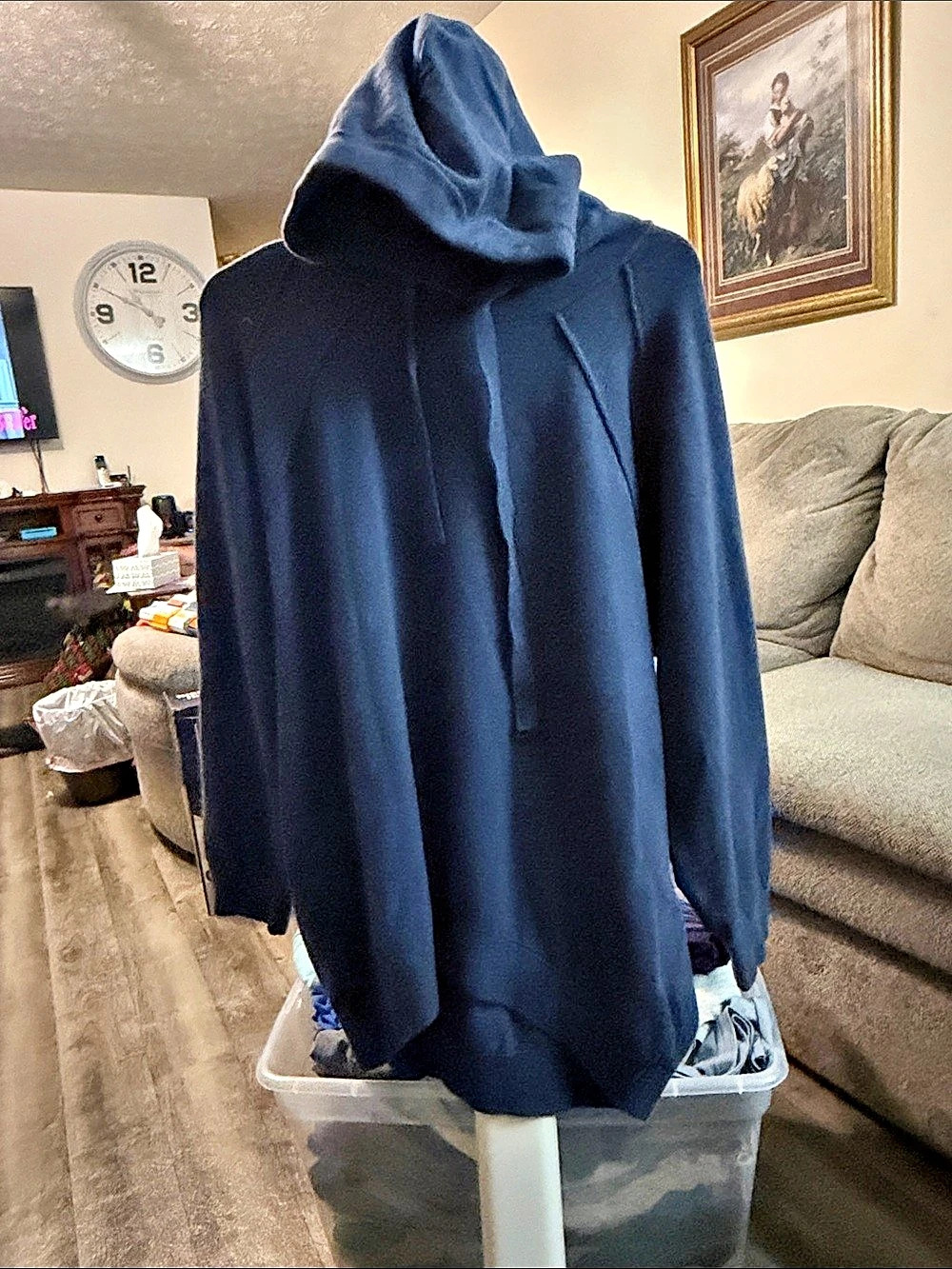 Free People Blue Hooded Sweatshirt